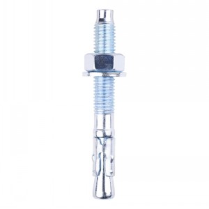 Floor Bolt (Throughbolt) M12 x 100mm (Pack 12)